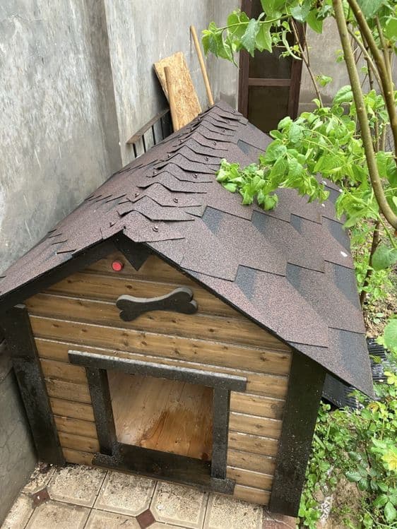 Собачий домик продается — 2