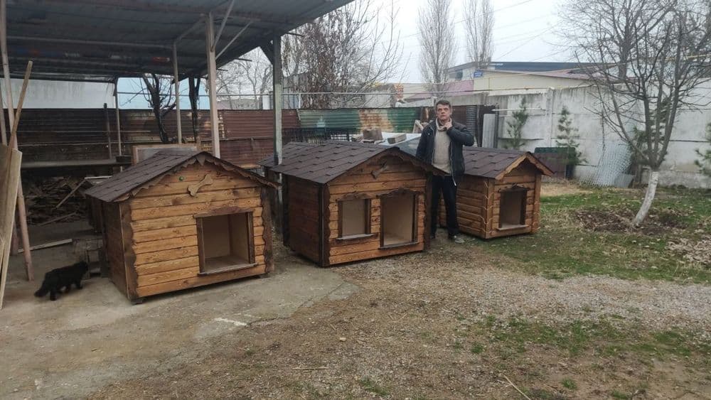 the VIP house DOG. Будка, вольер — 5