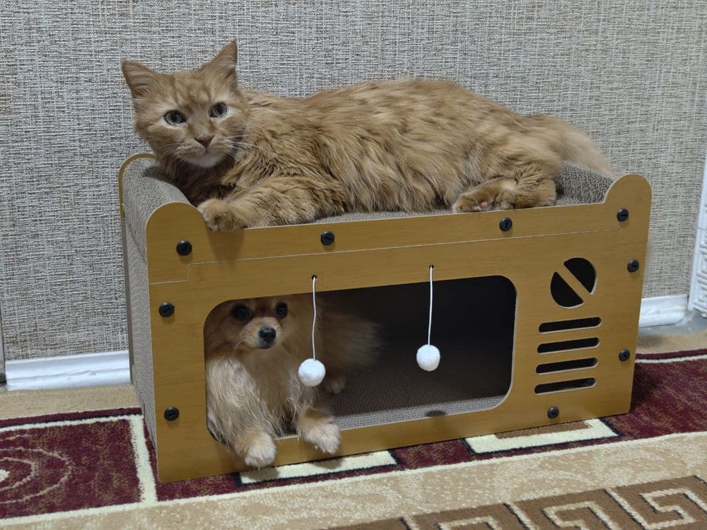 Домик - лежанка для кошки, или маленькой собаки — 3