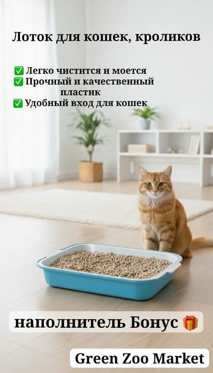 Лоток для Кошек и кроликов. С наполнитель Бонус. — 1