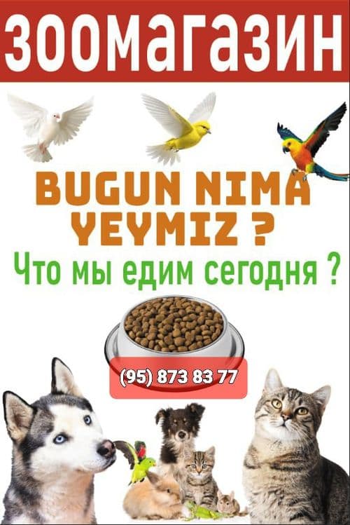 Товары для Животных — 4
