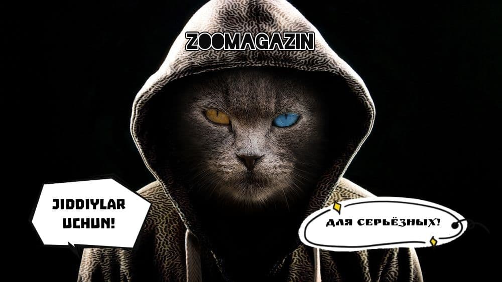 Товары для Животных — 6