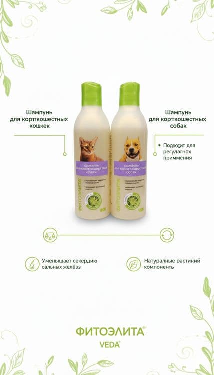 Шампунь для короткошерстных кошек и собак — 3
