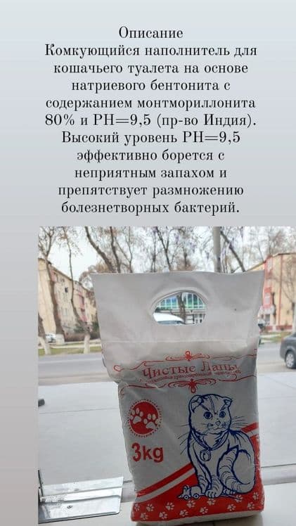 Лоток для котят и кошек. Есть лопаточка — 4