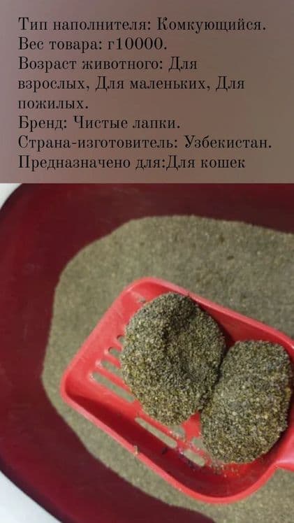 Лоток для котят и кошек. Есть лопаточка — 5
