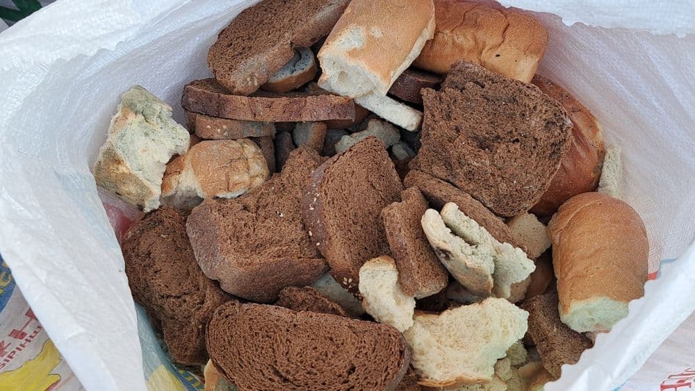 Котган нон копланган курук 1кг=4000сум — 3