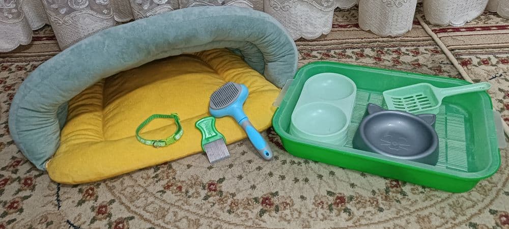 Посуды для кошки: 2 Миски, латок+лопатка, лежанка, расческа, ошейник — 16