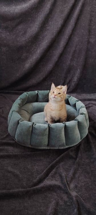 Лежанка для кошек — 4