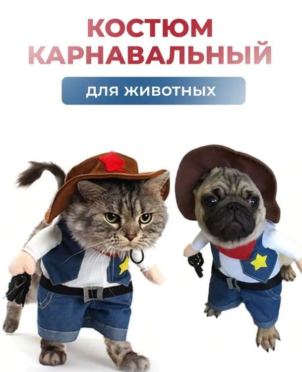 Прикольный костюм для кошек и собак (для фотосессии и праздника)