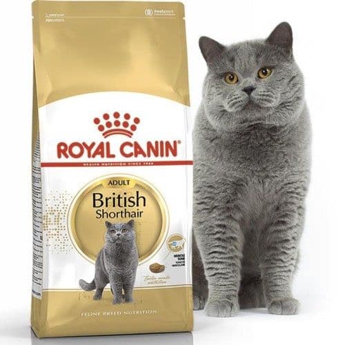 Сухой корм Royal Canin British Shorthair — 1