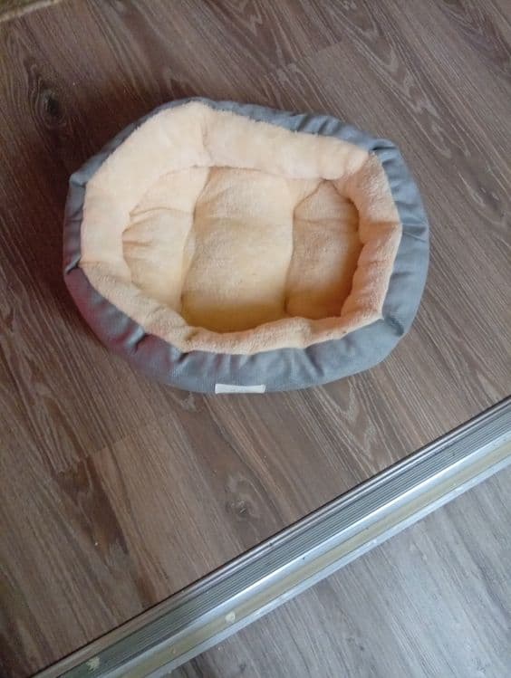 Лежанка + поилка автомат — 3