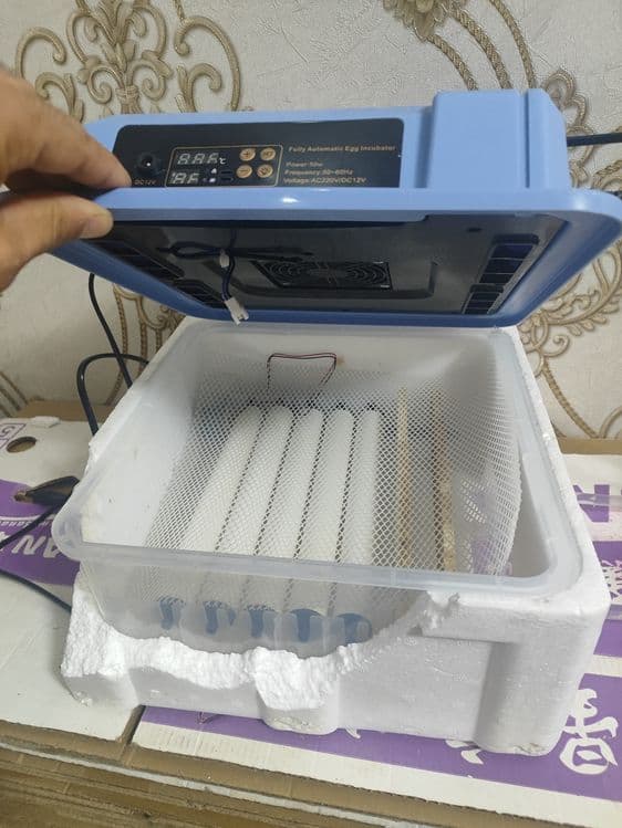 Inkubator sotiladi — 1