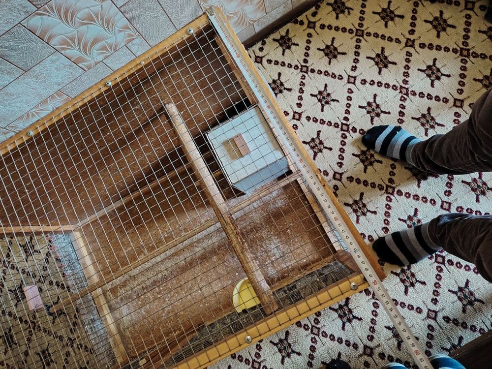Qushlar uchun qafas sotiladi — 3