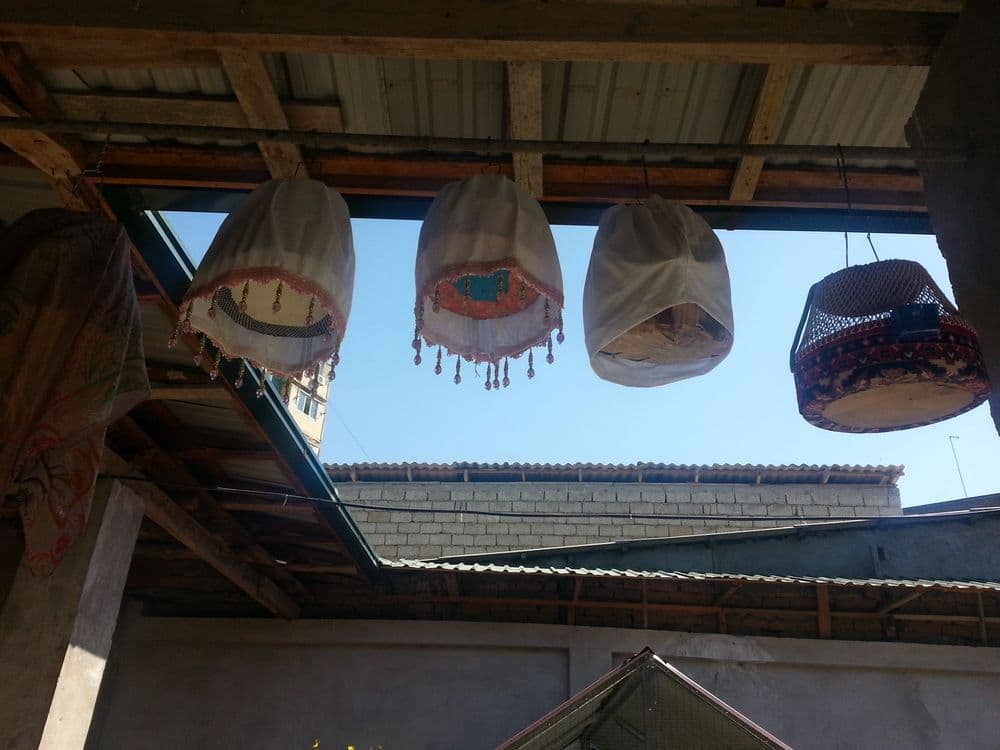 Arzonga Sayroqi bedanalar sotiladi — 16