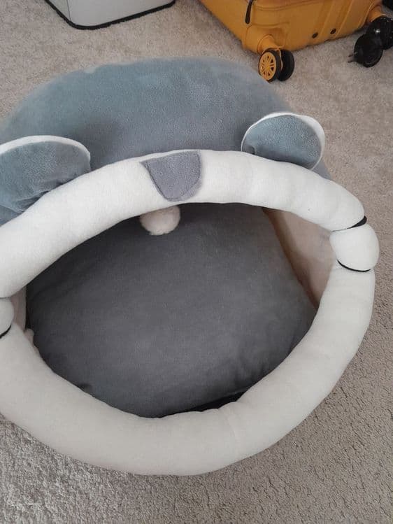 Домик новый для котят — 3