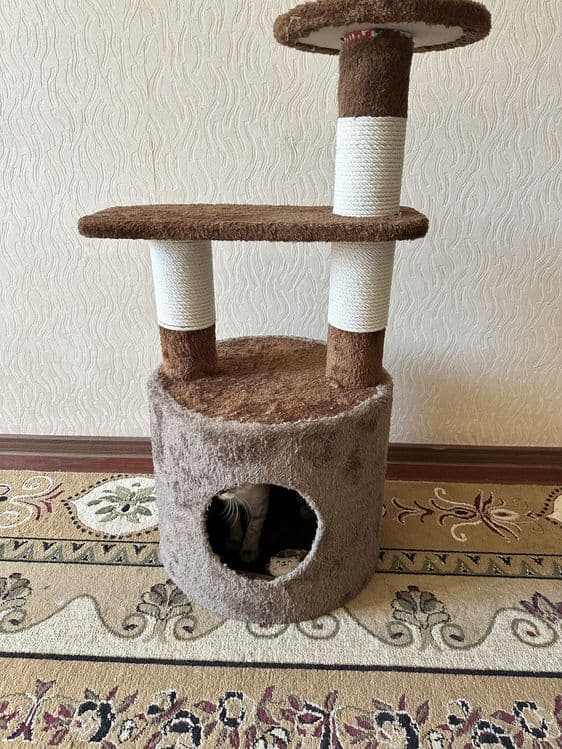 Домик для кошек — 2