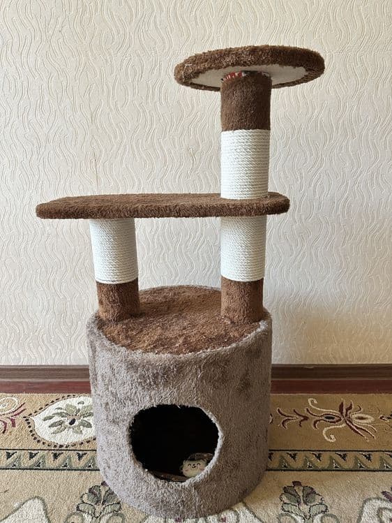 Домик для кошек — 3
