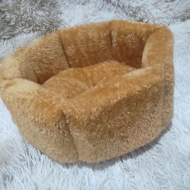 Акция лежанка для кошек и собак по 200 тысяч — 4