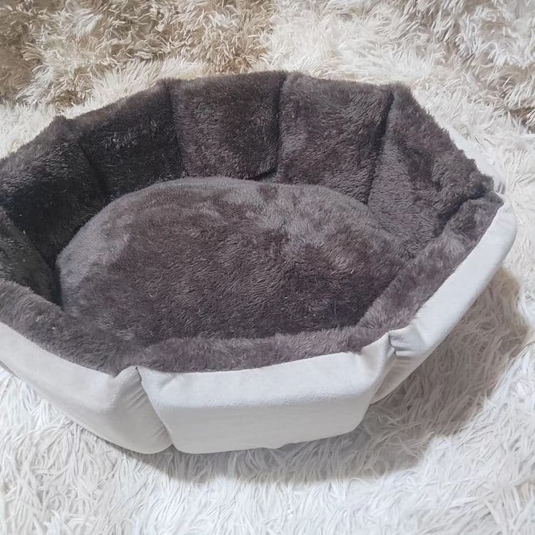 Акция лежанка для кошек и собак по 200 тысяч — 6
