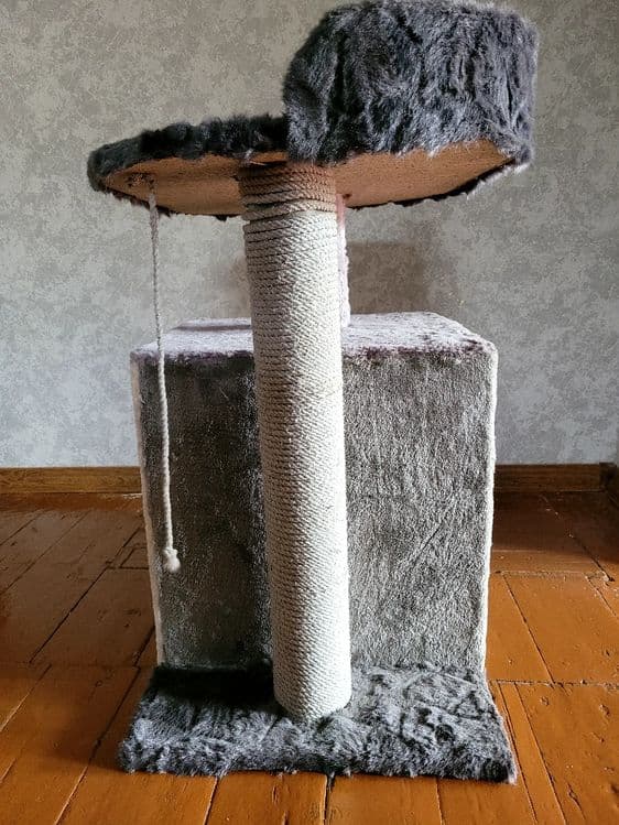 Продаётся кошкин дом — 2