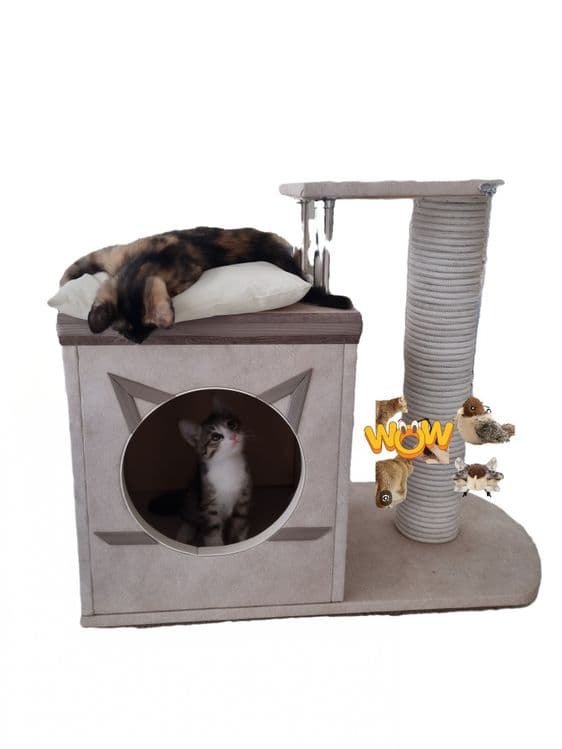 Кошкин дом .продаётся новая.. — 3