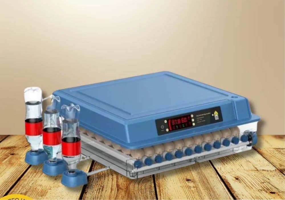Inkubator avtomat 9/12/24/36/64/100/128/200, 12V va 220V dan ishlaydi — 10
