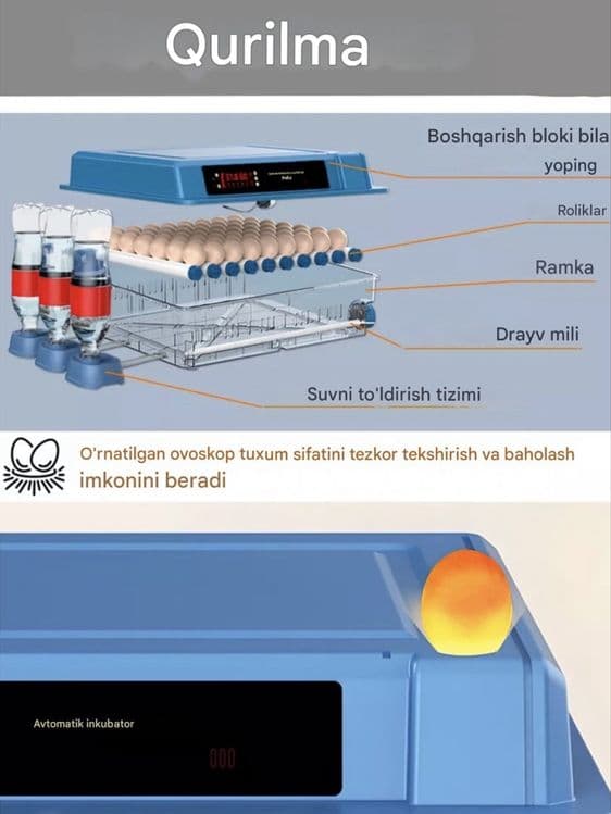 Inkubator avtomat 9/12/24/36/64/100/128/200, 12V va 220V dan ishlaydi — 12