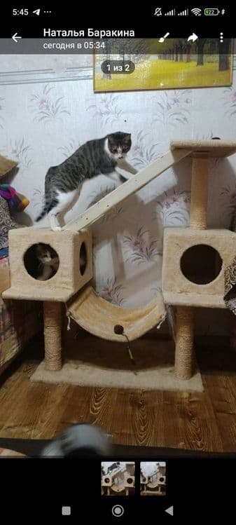 Котодомик когтеточка лежанка для 4х и более кошек — 3