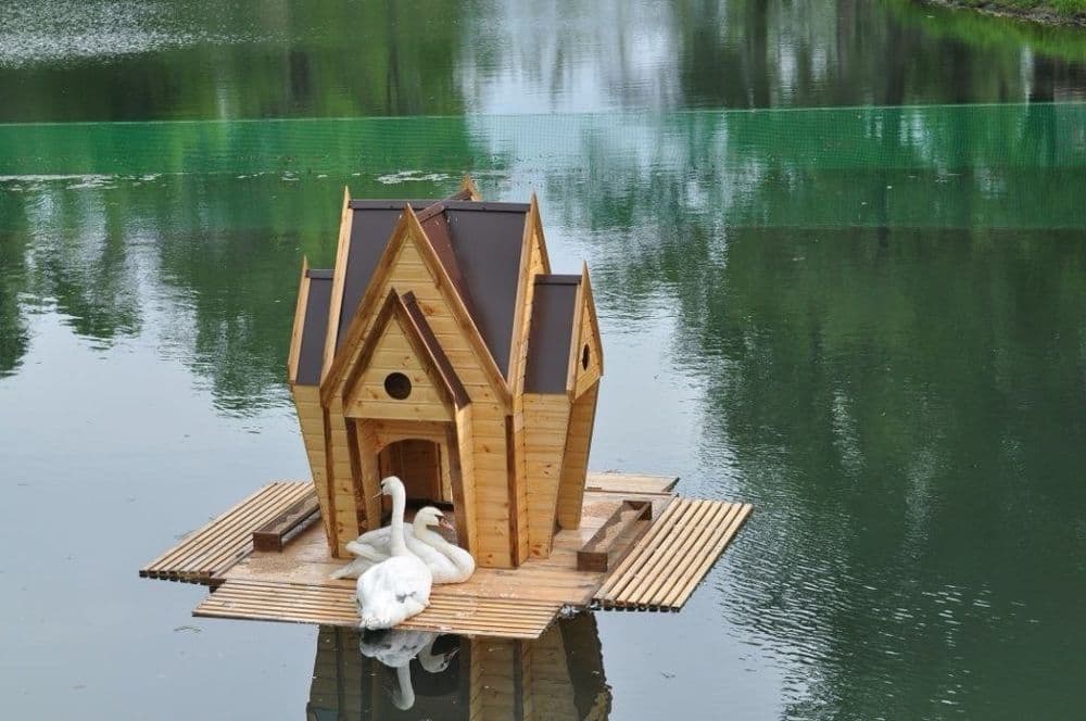 Домик для кур, гусей, лебедей, собак, кошек, птиц — 9