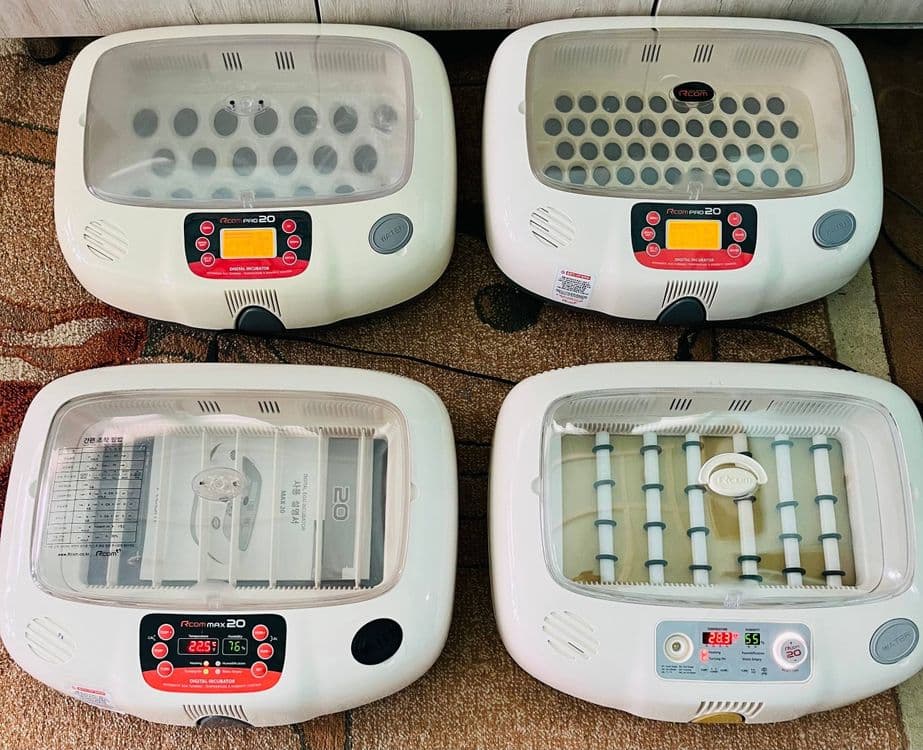 Incubator original — 1
