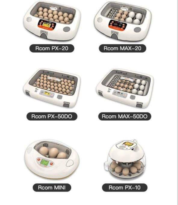 Incubator original — 2
