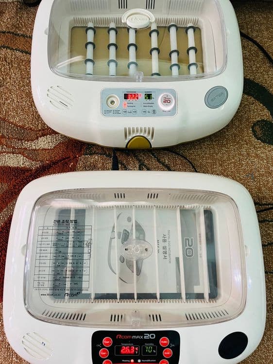 Incubator original — 3