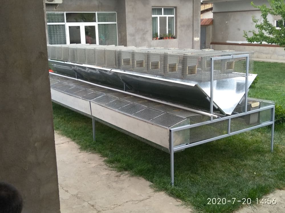 Клетка .Куёнлар  ва Жужа учун. — 12