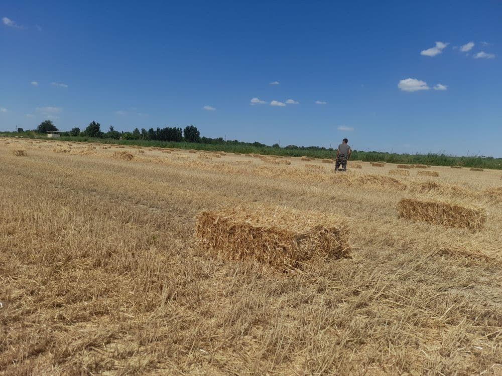 Сомон пресс арпаникиТез сотилади — 3