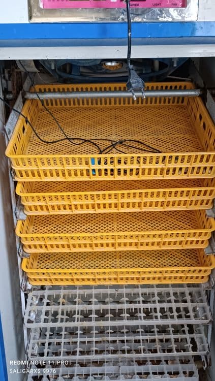 Joʻja chiqaradigan Inkubator aparat — 2