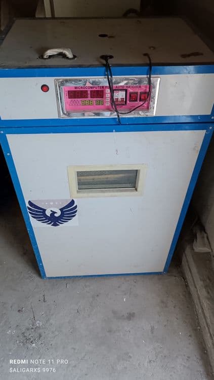 Joʻja chiqaradigan Inkubator aparat — 3