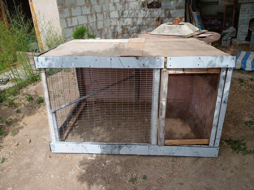 Клетка сатылады бахасы 500000сум — 2