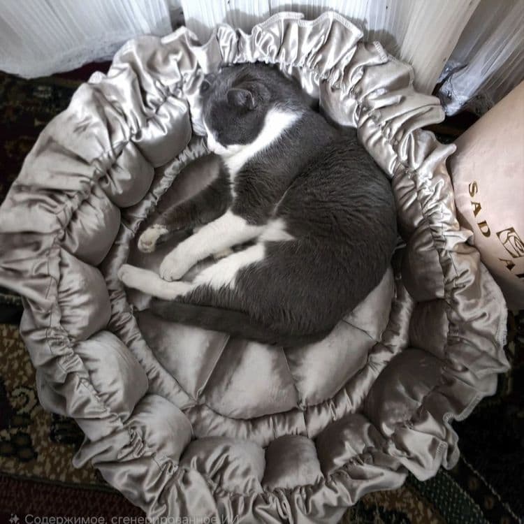 Лежанки для кошек. Большое — 2
