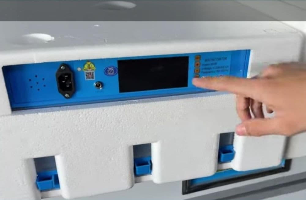 Inkubator avtomatik — 4