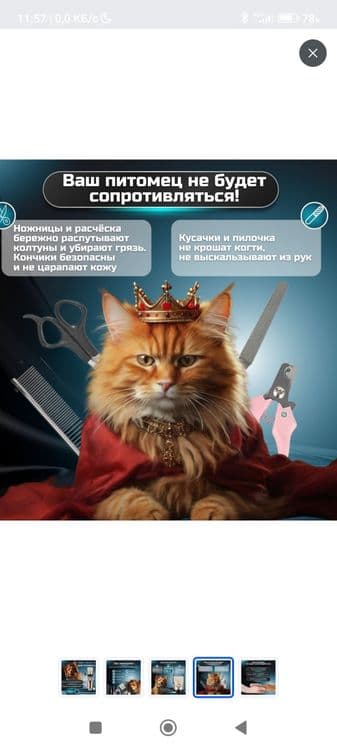 В наборе для стрижки животных есть ножницы для подравнивания волосков — 2
