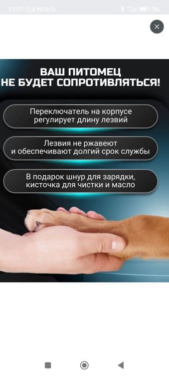 В наборе для стрижки животных есть ножницы для подравнивания волосков — 5