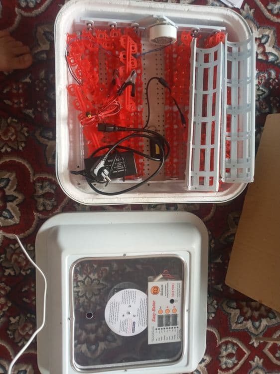 Inkubator tuxum ochirgich — 6