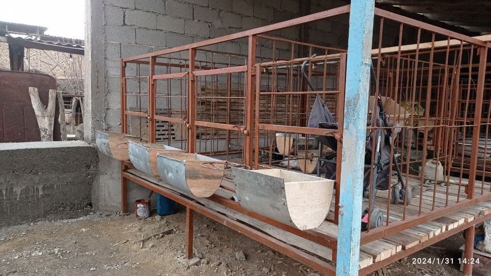 Qoyxona 8 talik qoy boqadiganlar qiziqsa zor texnika — 3