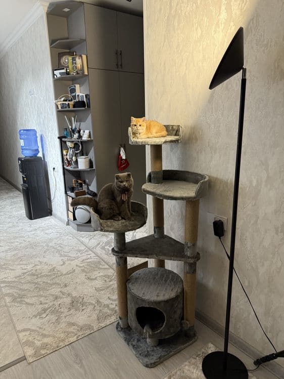 Игровой комплекс для кошек — 2