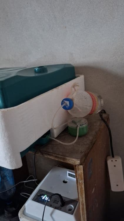 36talik inkubator sotiladi — 3