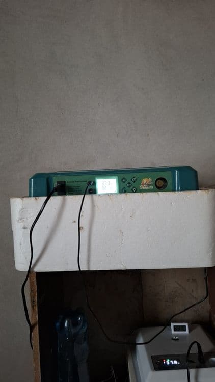 36talik inkubator sotiladi — 4