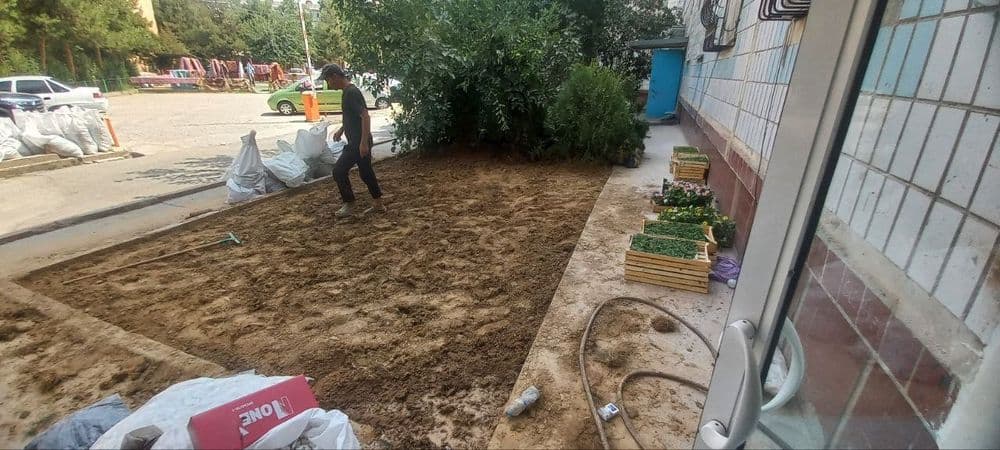 Gazon rulonniy газон рулонные и  посевной — 8