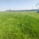 Gazon kesamiz archa kesamiz dorilimiz agro hizmat