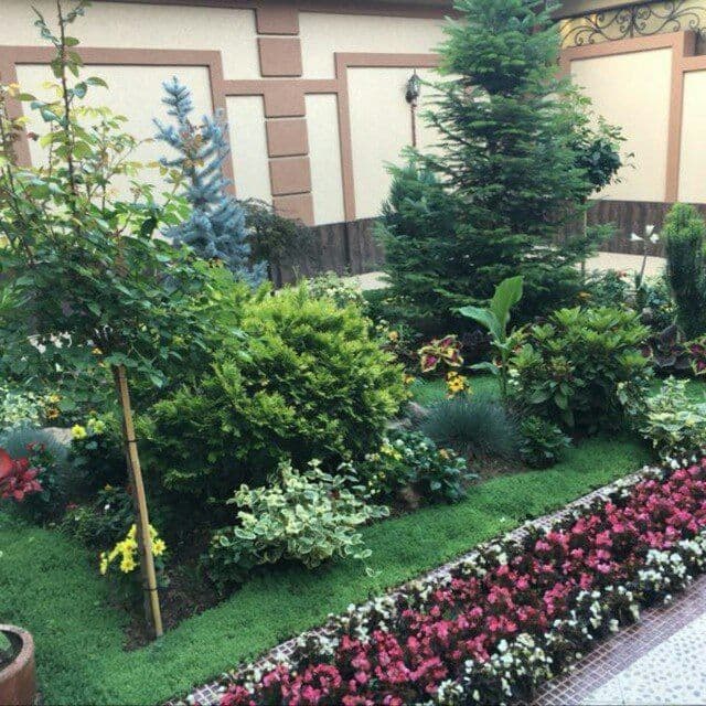 Gazon ekamiz ruloniy — 1