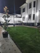 Газон под ключ. Посев, рулонный газон, полив